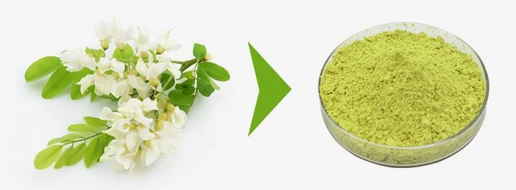 Quercetin Dihydrate Powder 1 Quercetin Dihydrate Powder 1