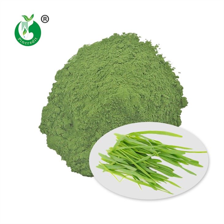 Barley Grass Juice Powder