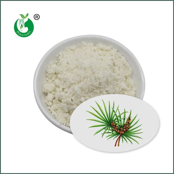 Пила Palmetto Экстракт Порошок
