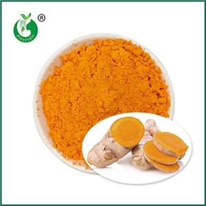 Каковы эффекты и функции куркумина из экстракта куркумы?